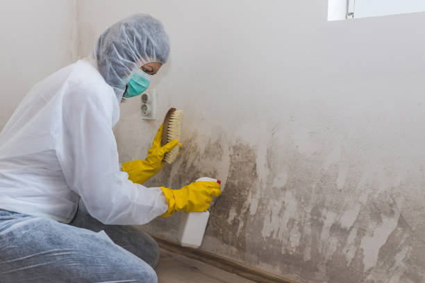 Water Damage Restoration in Alliance, NE