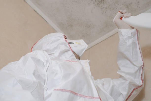Mold Testing and Removal in Alliance, NE